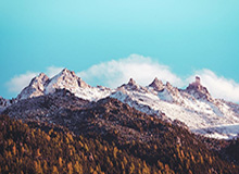 天博体育官网-重罚！73人终身禁足，13支俱乐部危了