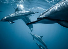 天博体育官网首页-宁忠岩：我翻过了那座“大山”，山顶风景太好了